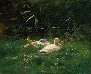 Willem Maris, Ducks